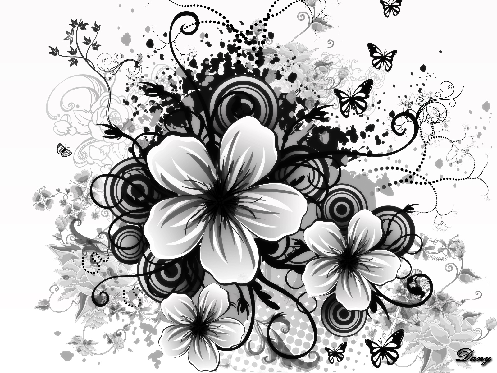 Black and white flowers wallpapers HD