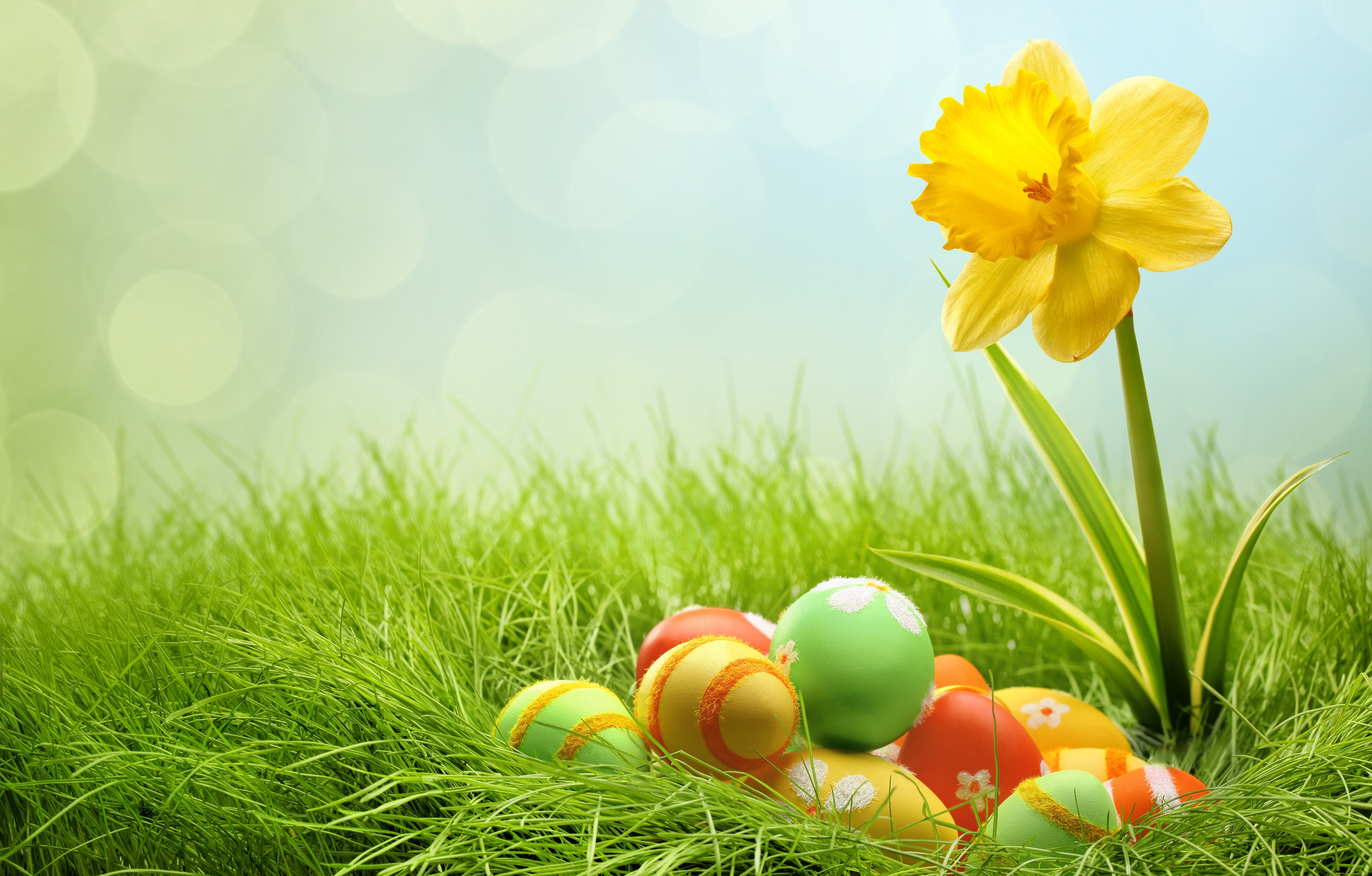 20 Excellent desktop backgrounds easter You Can Download It At No Cost