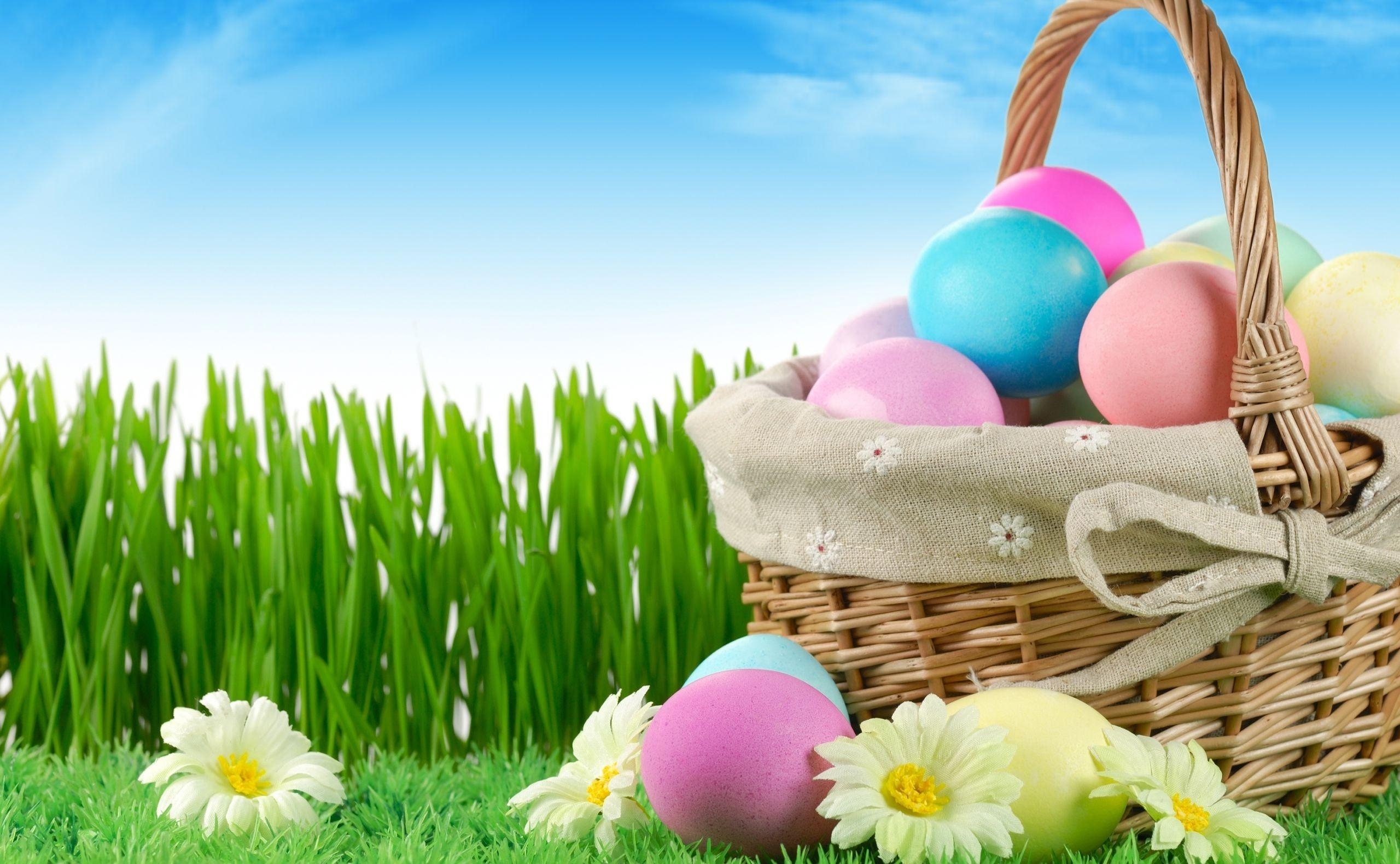 Easter Chocolate Egg Wallpaper Easter Holidays 78 Wallpapers