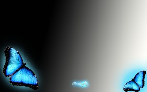 Blue Butterfly Wallpaper HD - PixelsTalk.Net