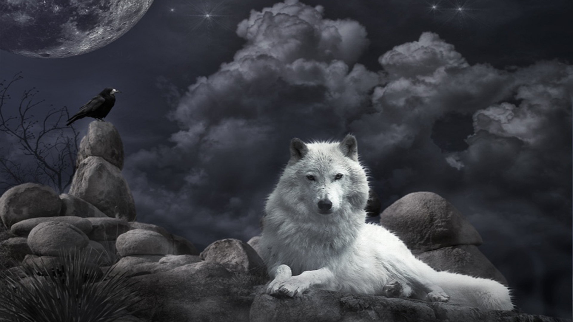 Fantasy Backgrounds Wolf Wallpaper