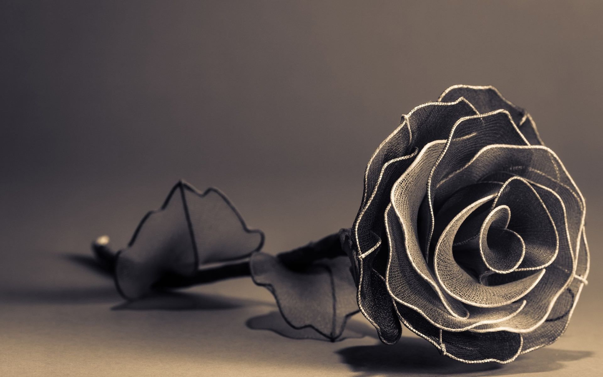 Rose beauty black black rose christmas nignt creed gothic leaf  origins HD phone wallpaper  Peakpx