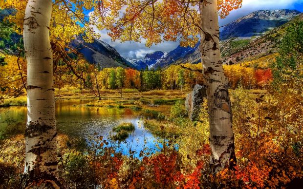 Autumn Mountain Free Wallpaper Downloads.
