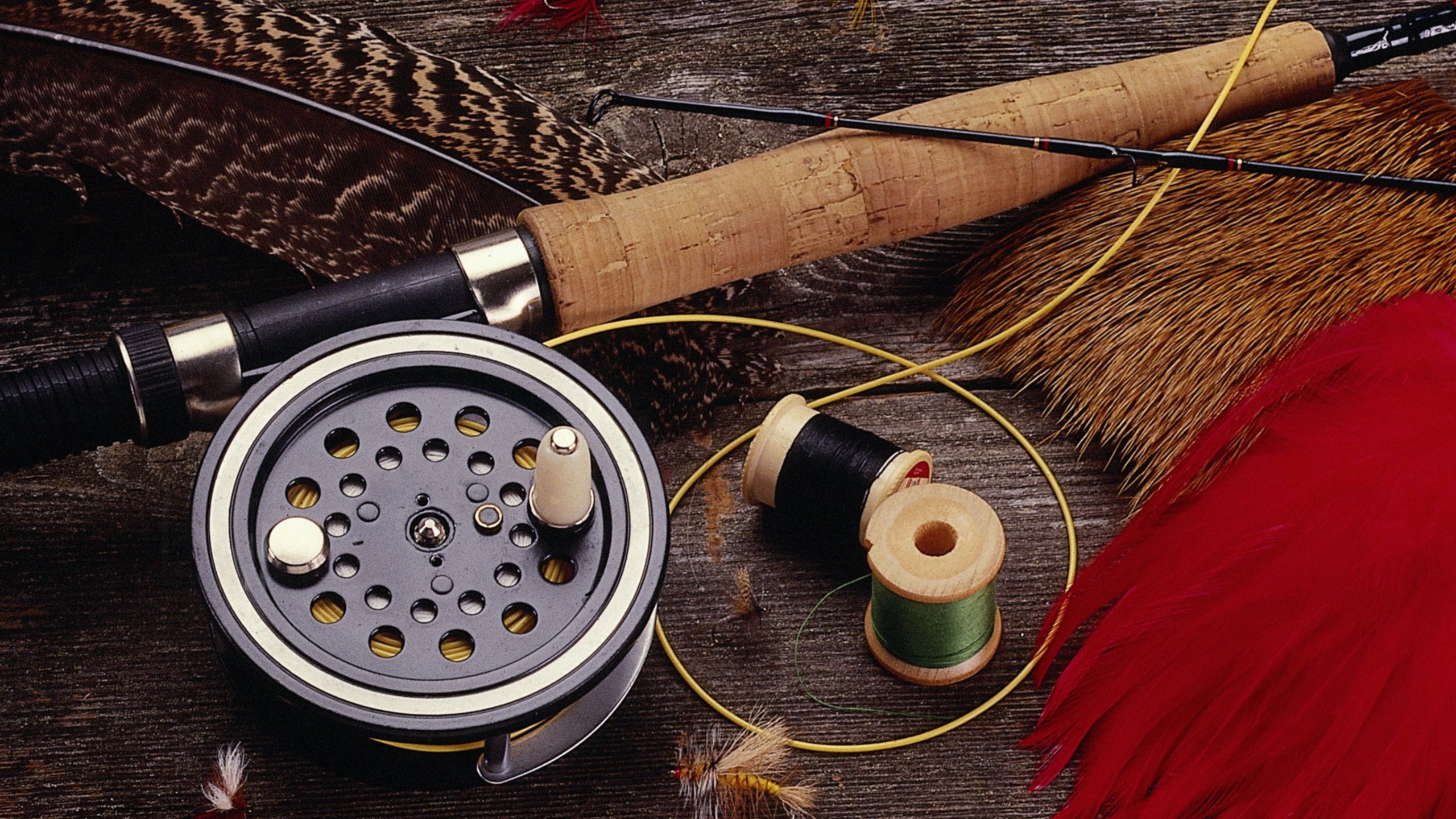Fly Fishing Wallpapers  Top Free Fly Fishing Backgrounds  WallpaperAccess