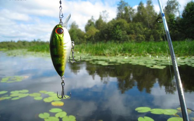 Fishing Wallpaper HD pictures download.