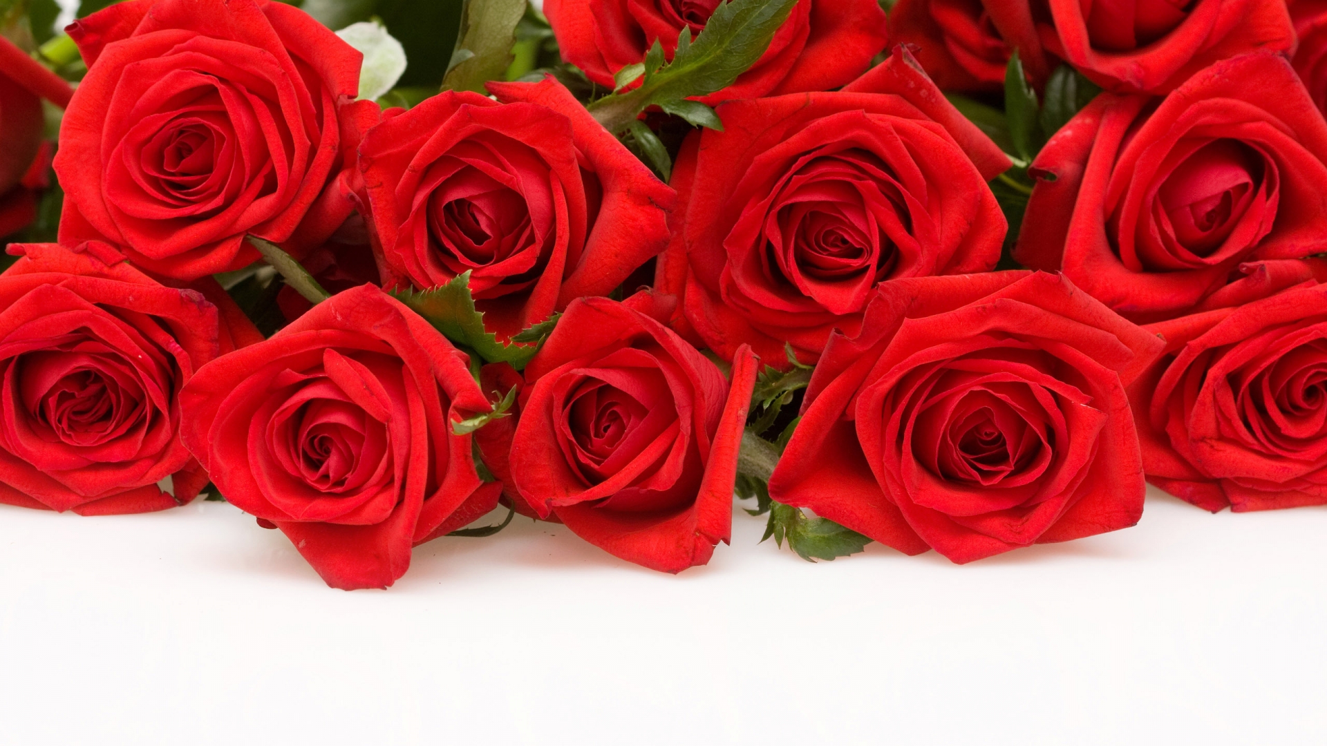 Red Rose Background Hd Pixlith
