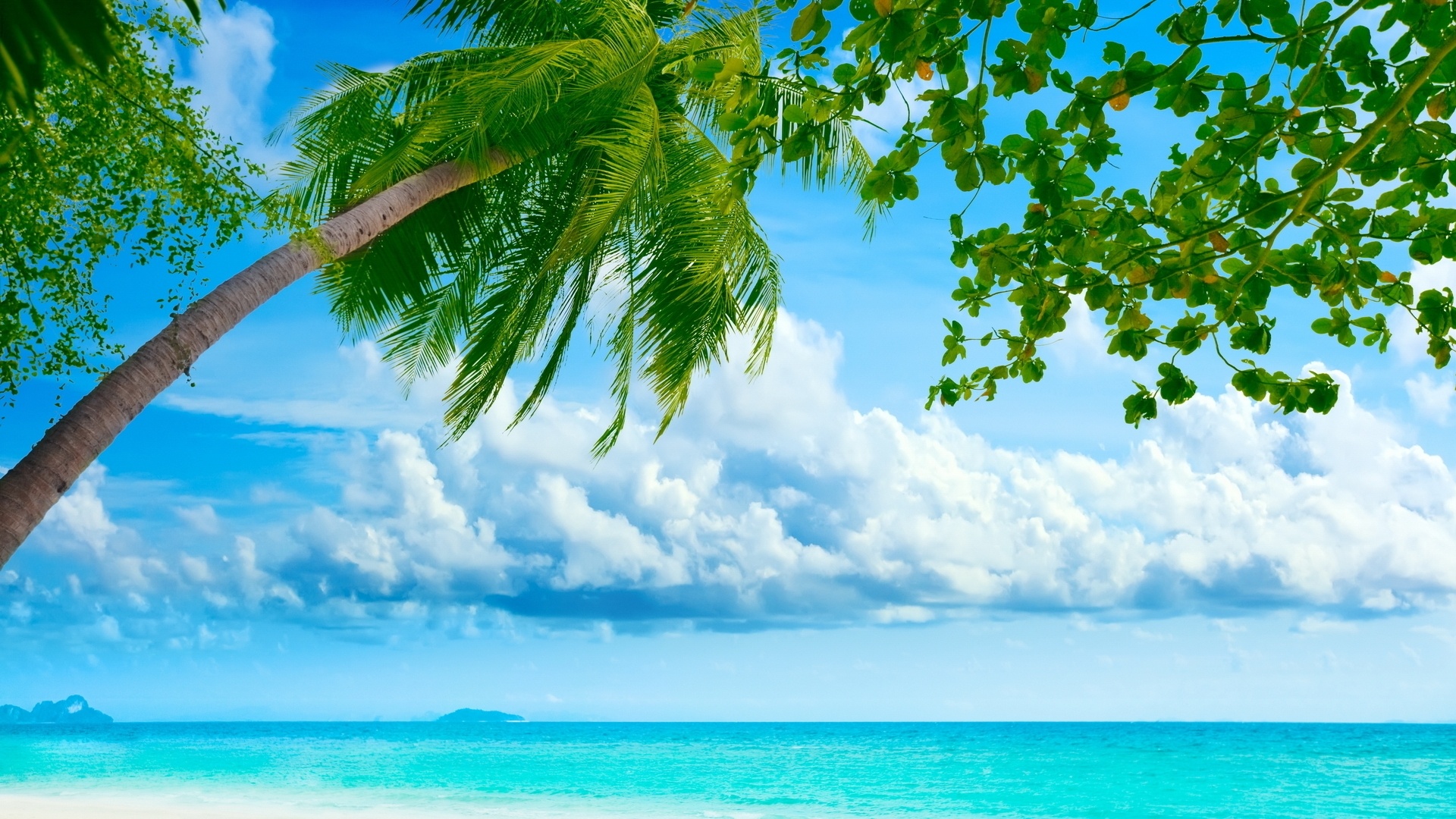 Free Vector  Realistic summer wallpaper with beach