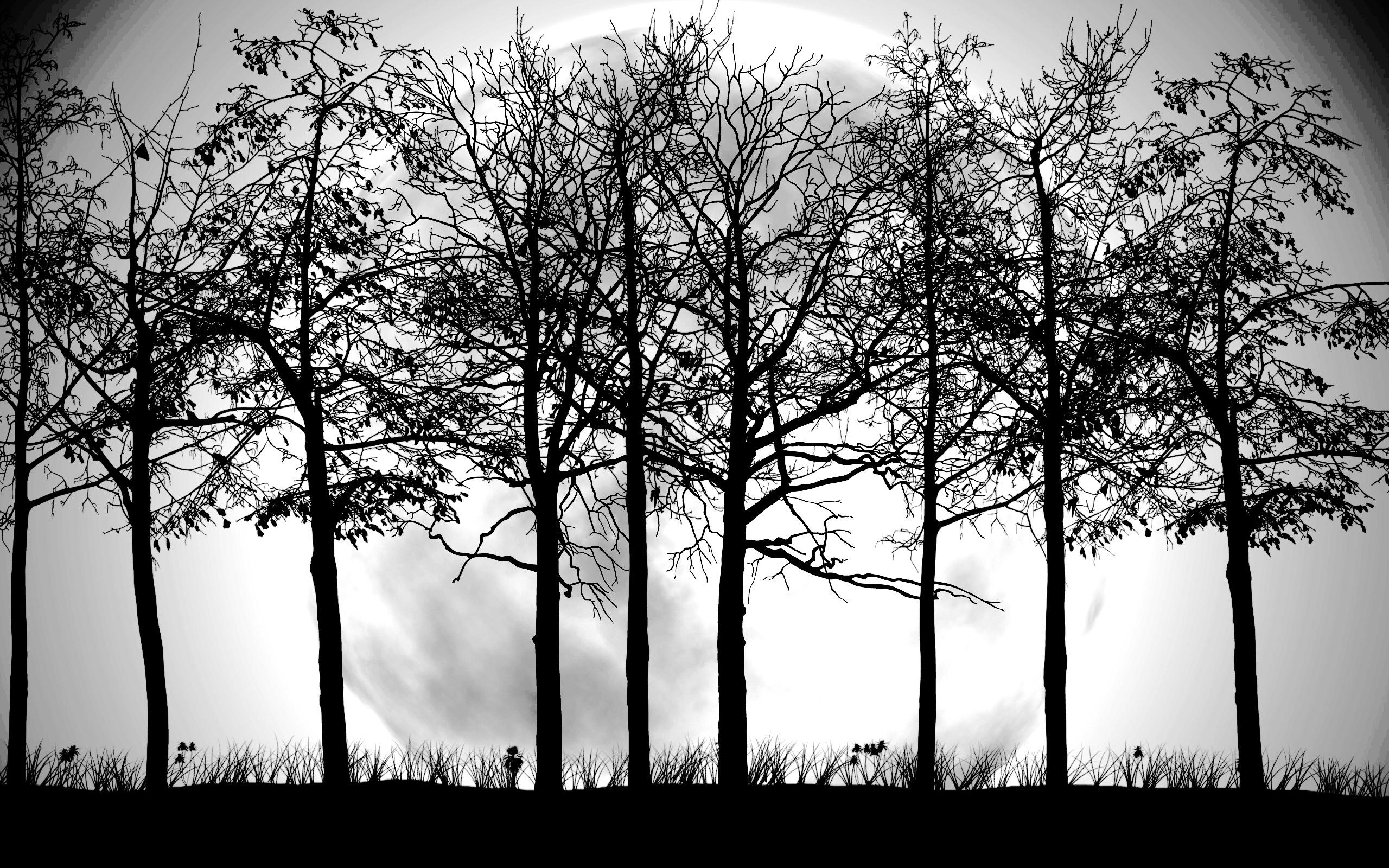 Tree Wallpaper Black And White | PixelsTalk.Net