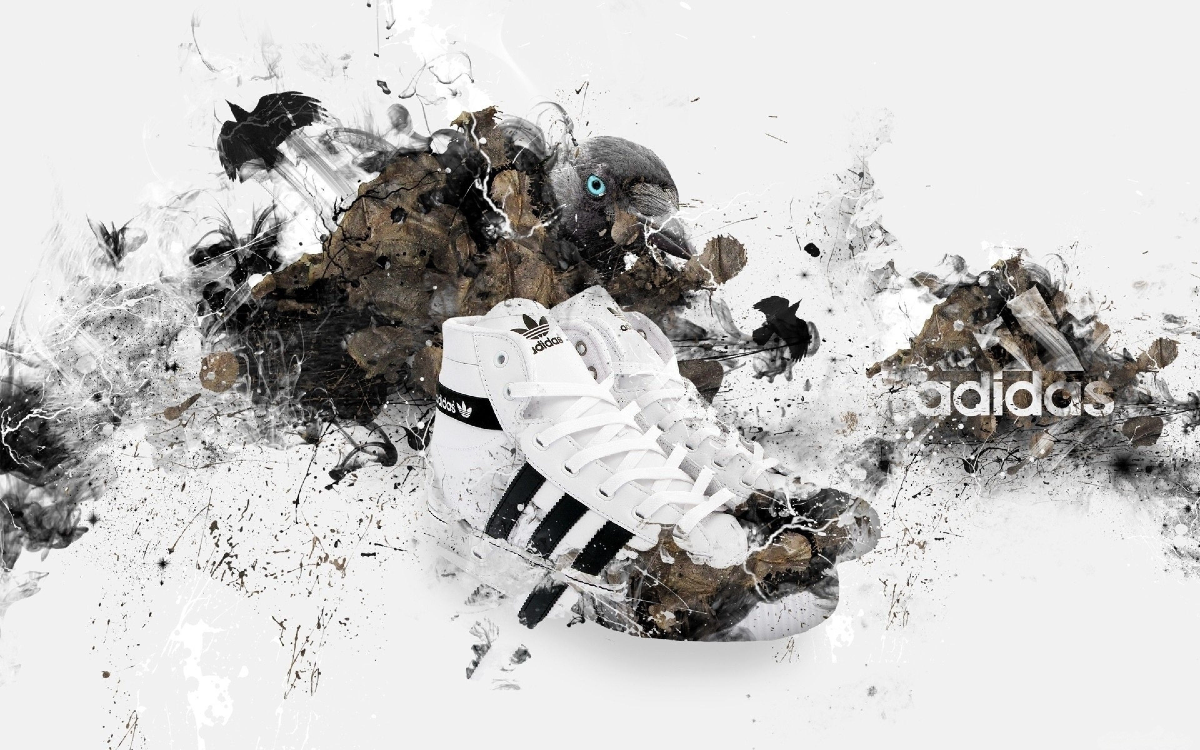 adidas shoe wallpaper