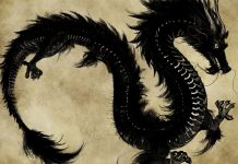 Black chinese dragon wallpapers.