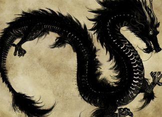 Black chinese dragon wallpapers.