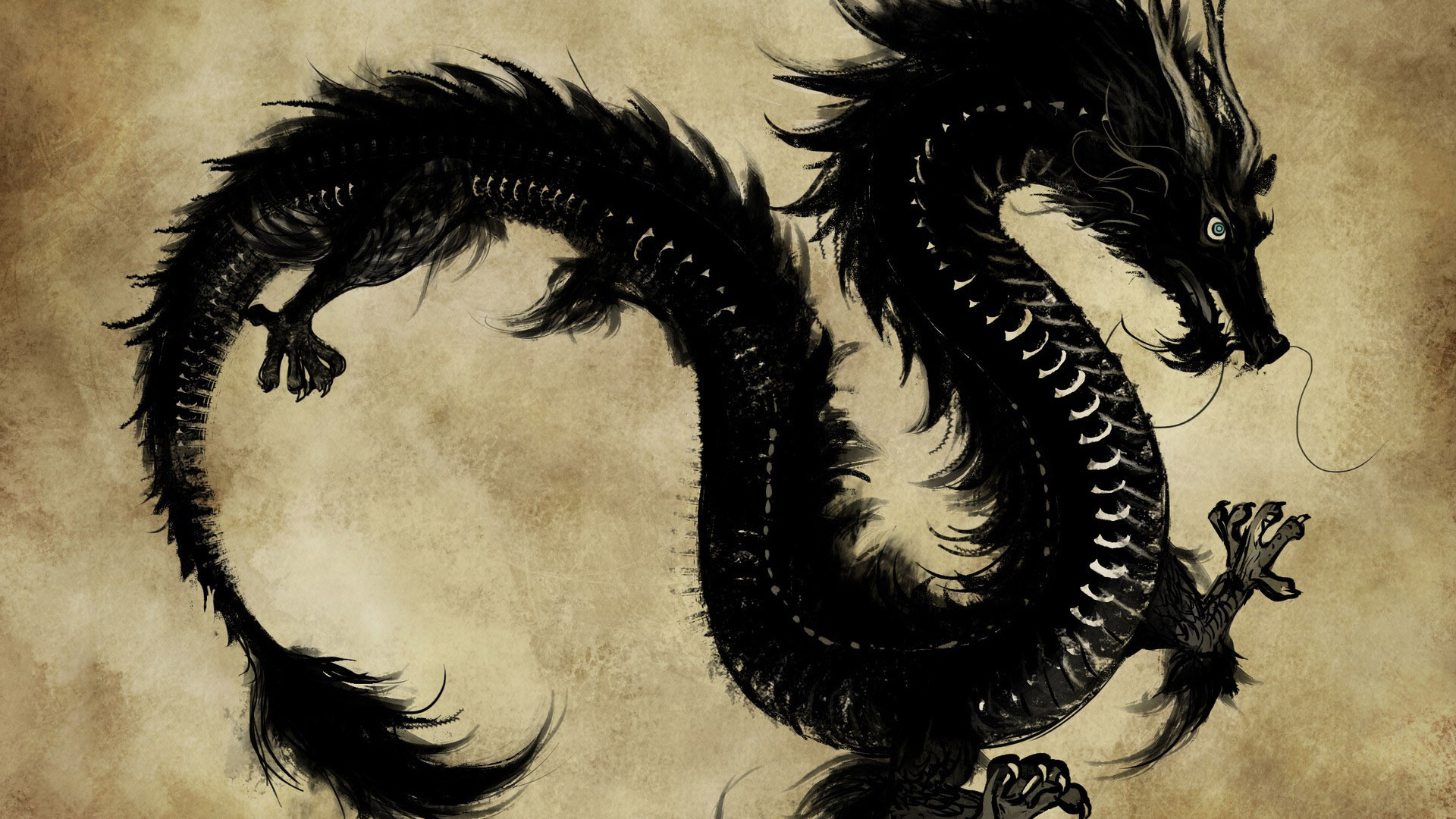 Dragon Backgrounds Free Download | PixelsTalk.Net