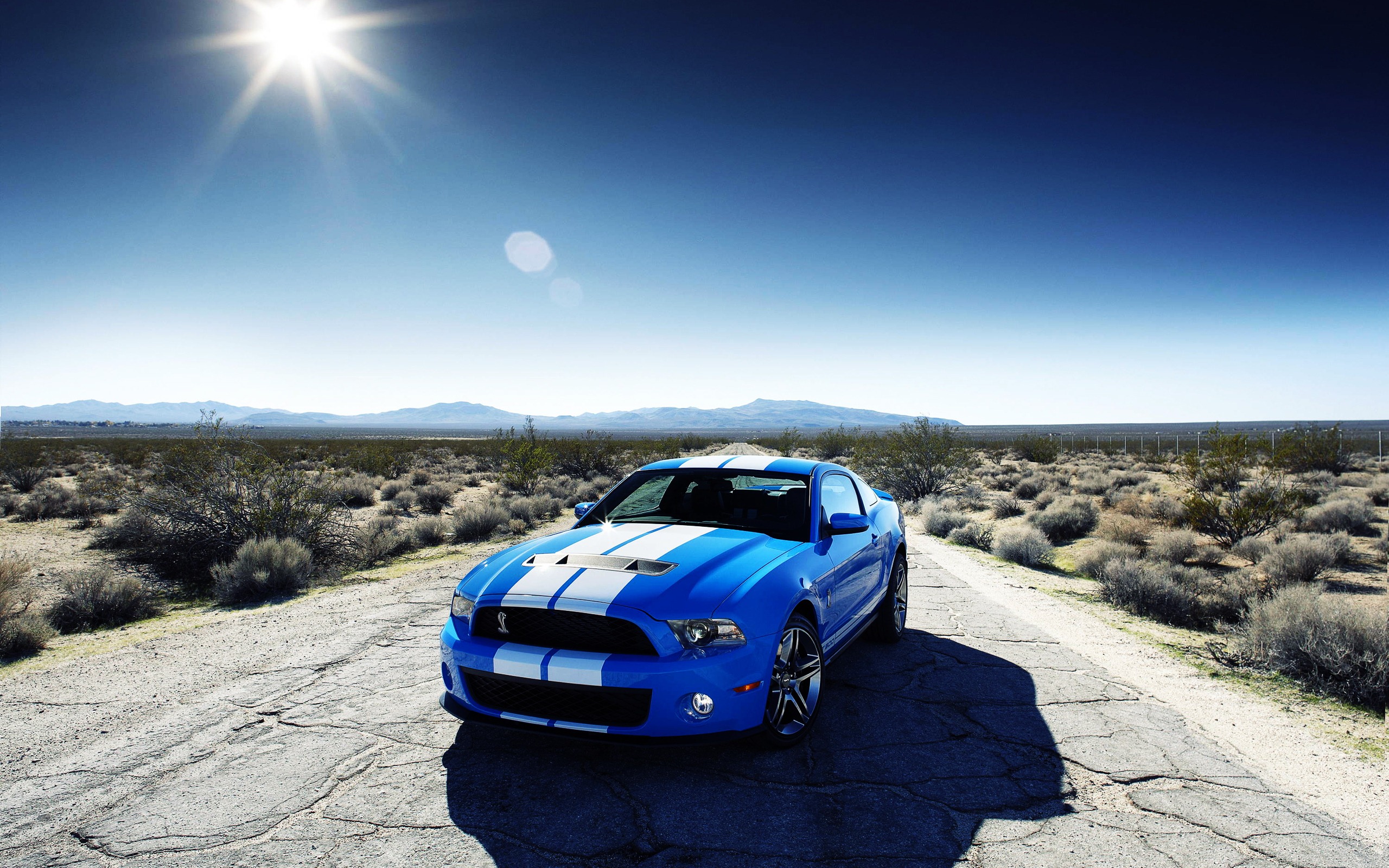 Ford Mustang Wallpapers 68 pictures