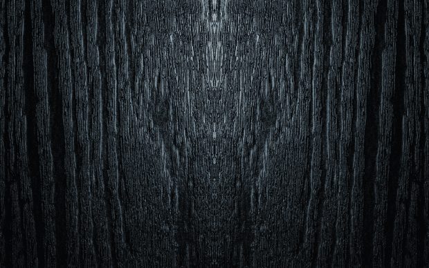 Dark Woods HD Background.