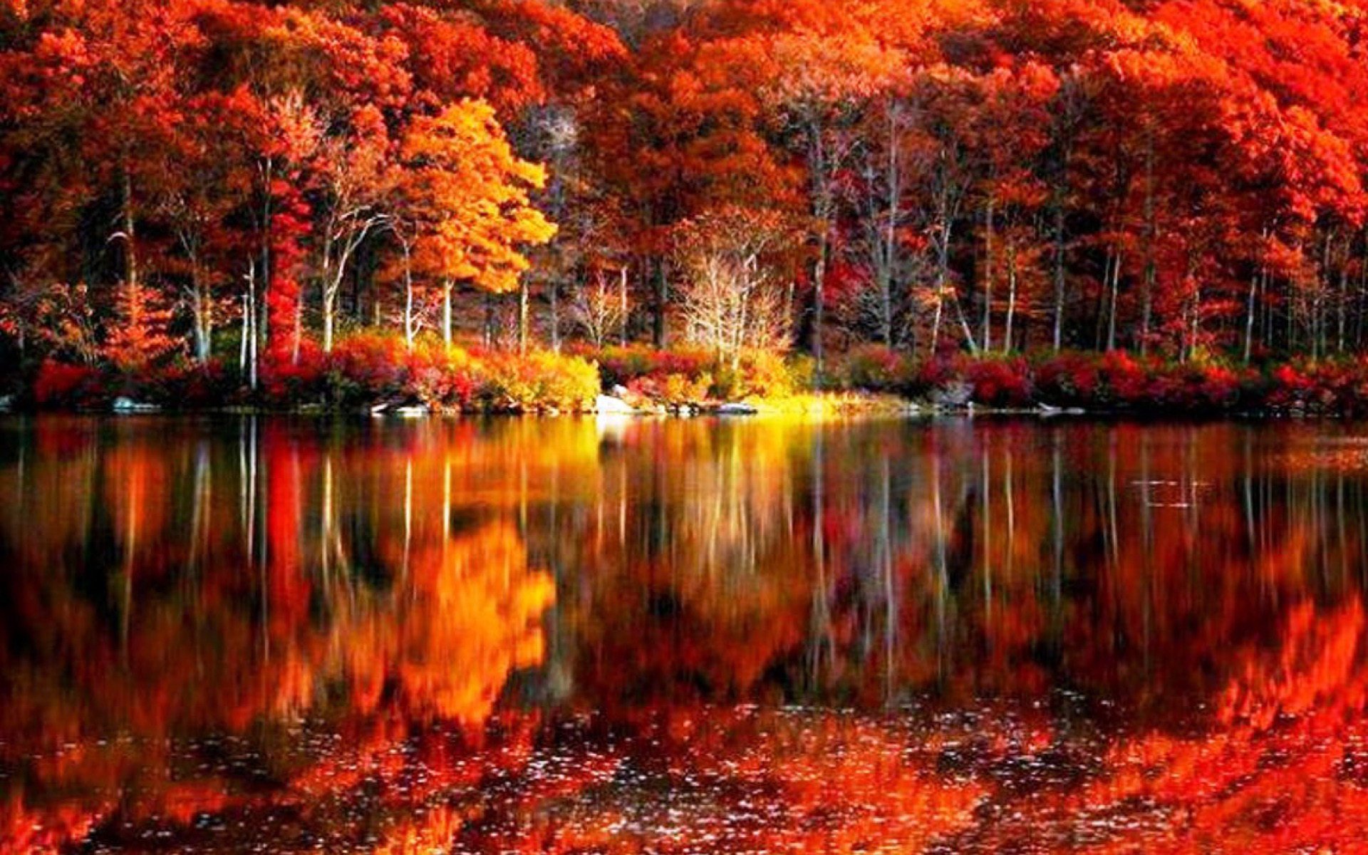 fall scenery
