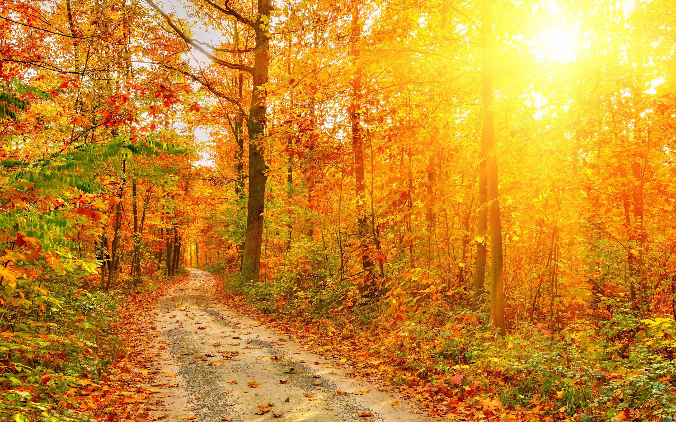 Fall Scenery Wallpapers Free Download