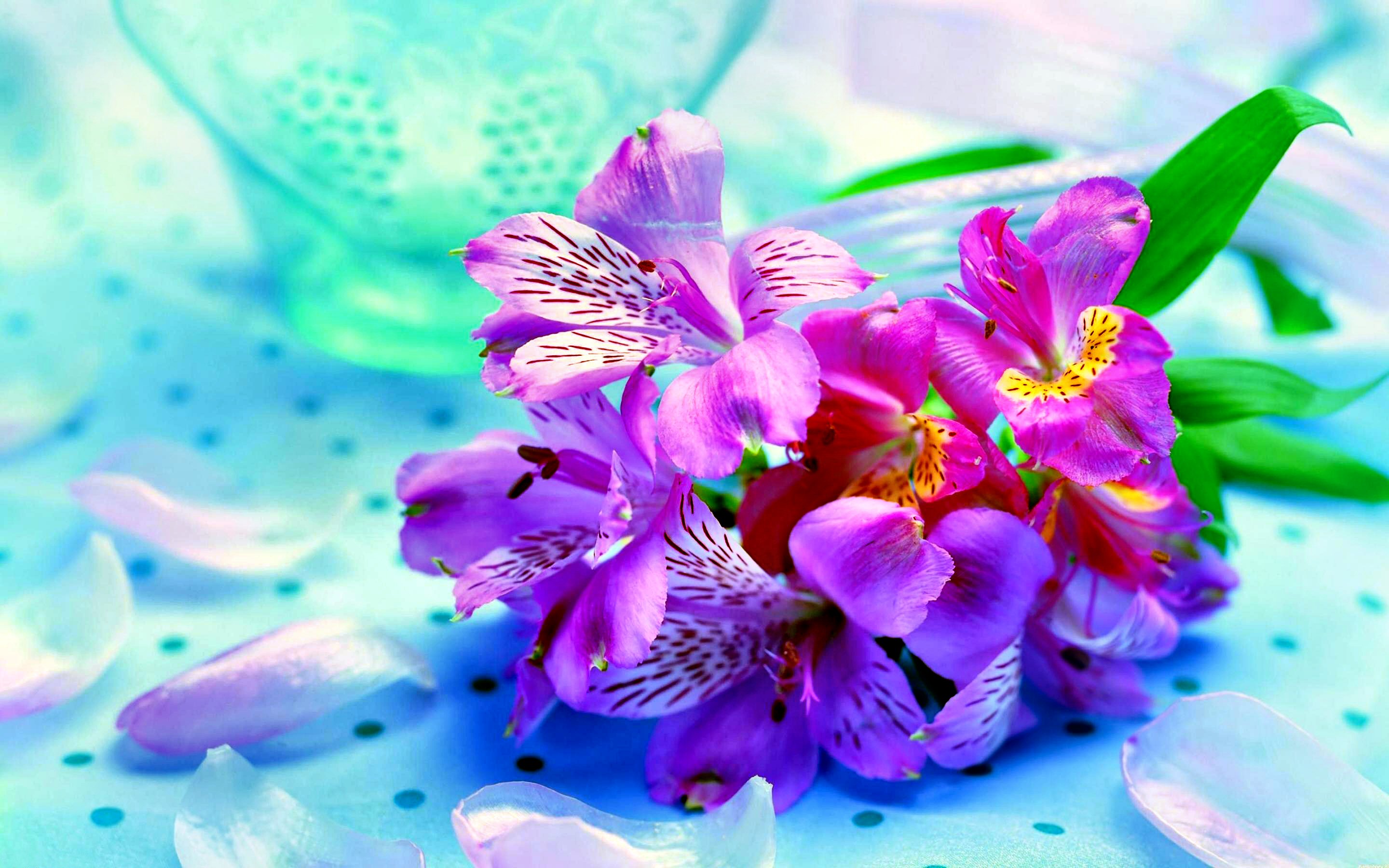 Flowers Background Edit
