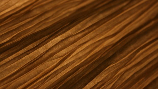 Free Wood Grain Photo Download.