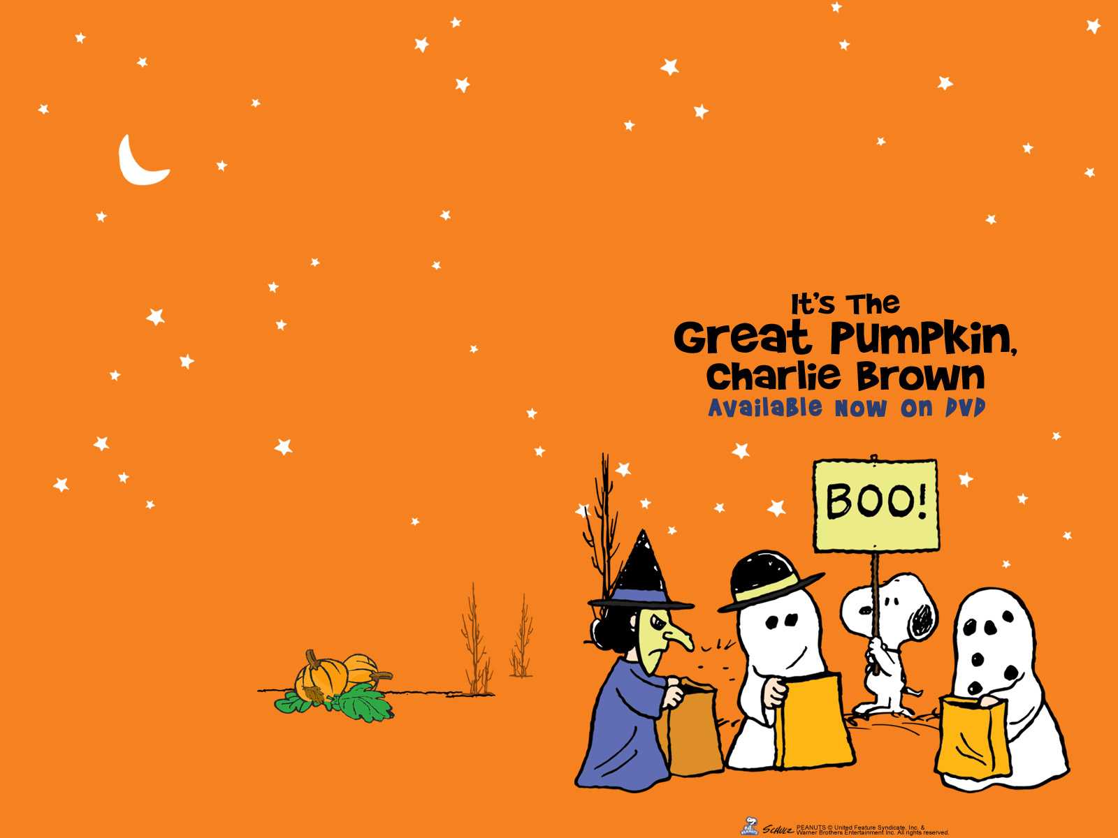 Charlie Brown Halloween Wallpaper HD 1 