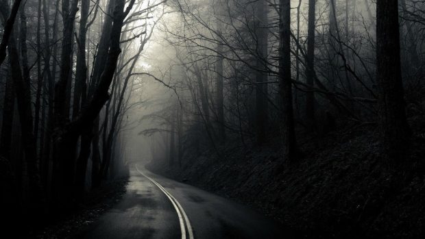 Dark Woods Backgrounds Free Download