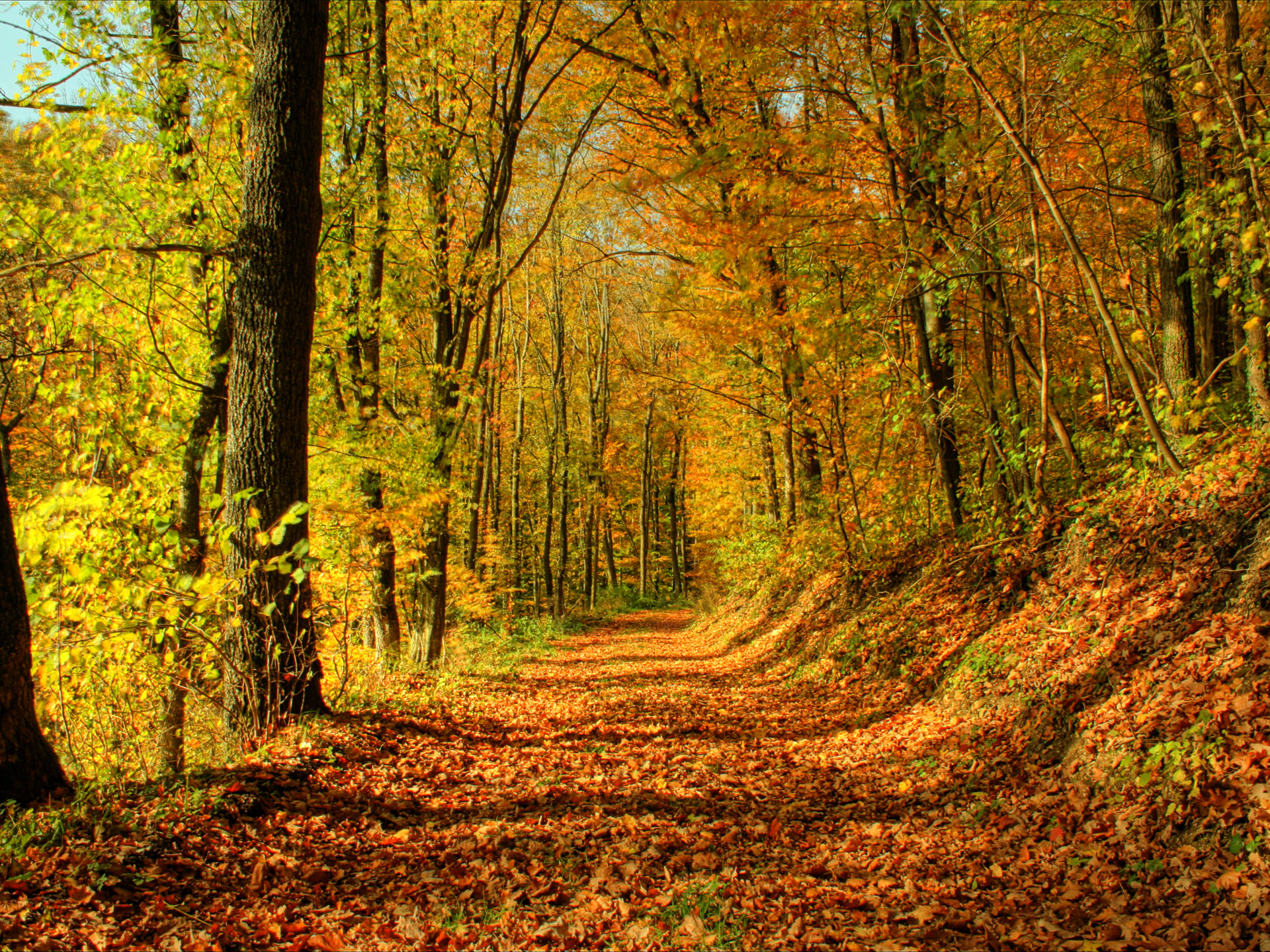 Autumn Harvest Scenes Fall Scenery Wallpapers Free Download PixelsTalk Net