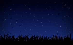 Free Starry Night HD Backgrounds - PixelsTalk.Net