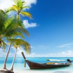 Pictures Download Beach Palm Tree Wallpapers.