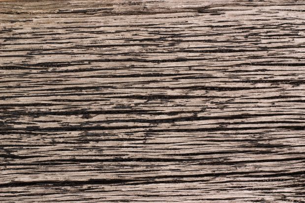 Wood Grain Background Free Download.