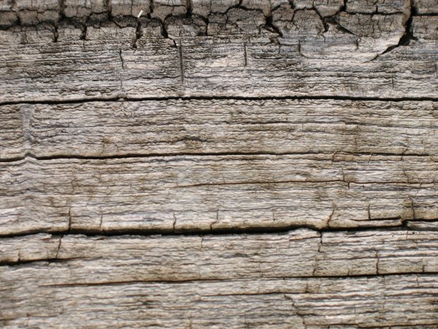 Wood Grain Desktop Background.