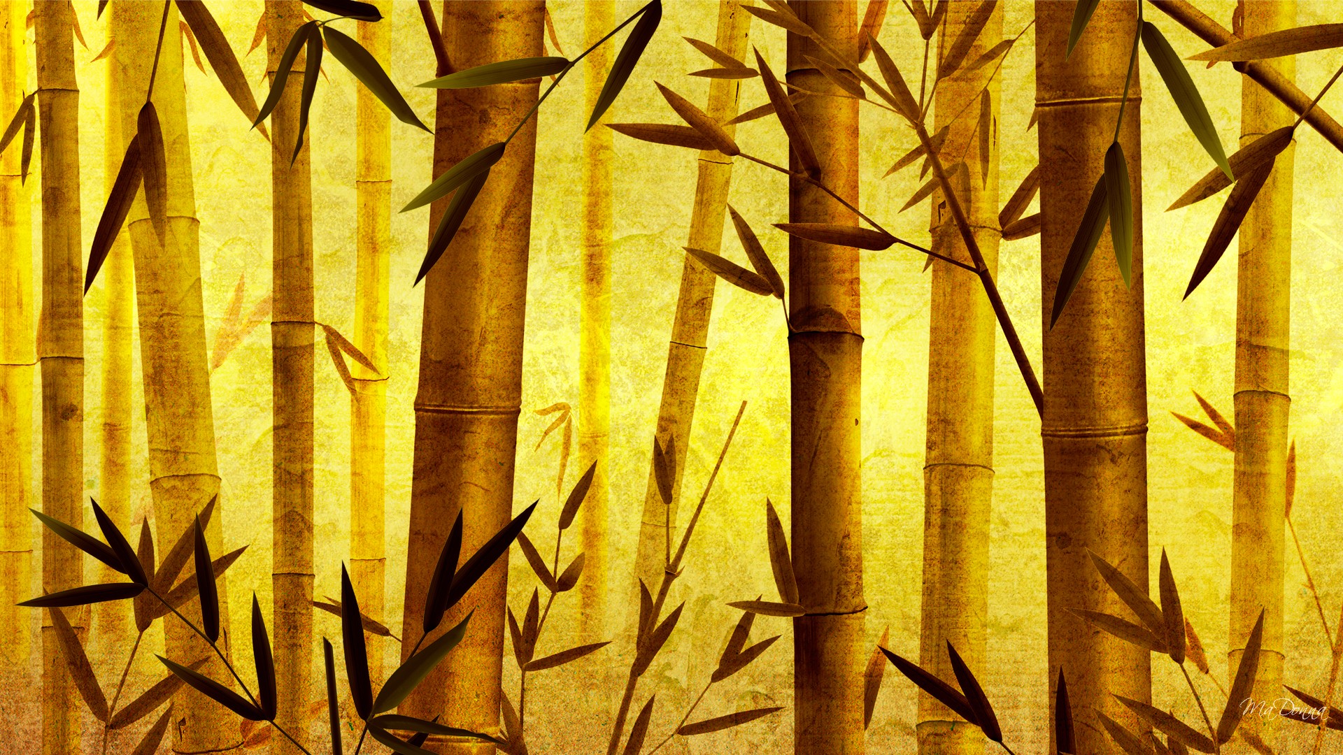HD Bamboo Backgrounds Download | PixelsTalk.Net