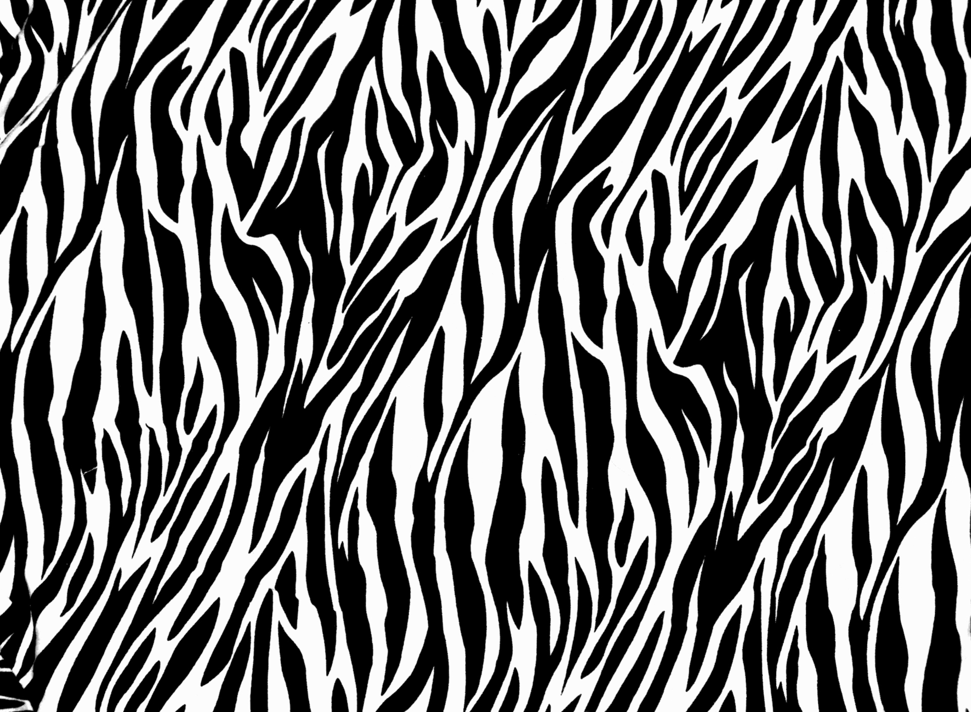 Zebra Print Wallpaper HD  PixelsTalkNet