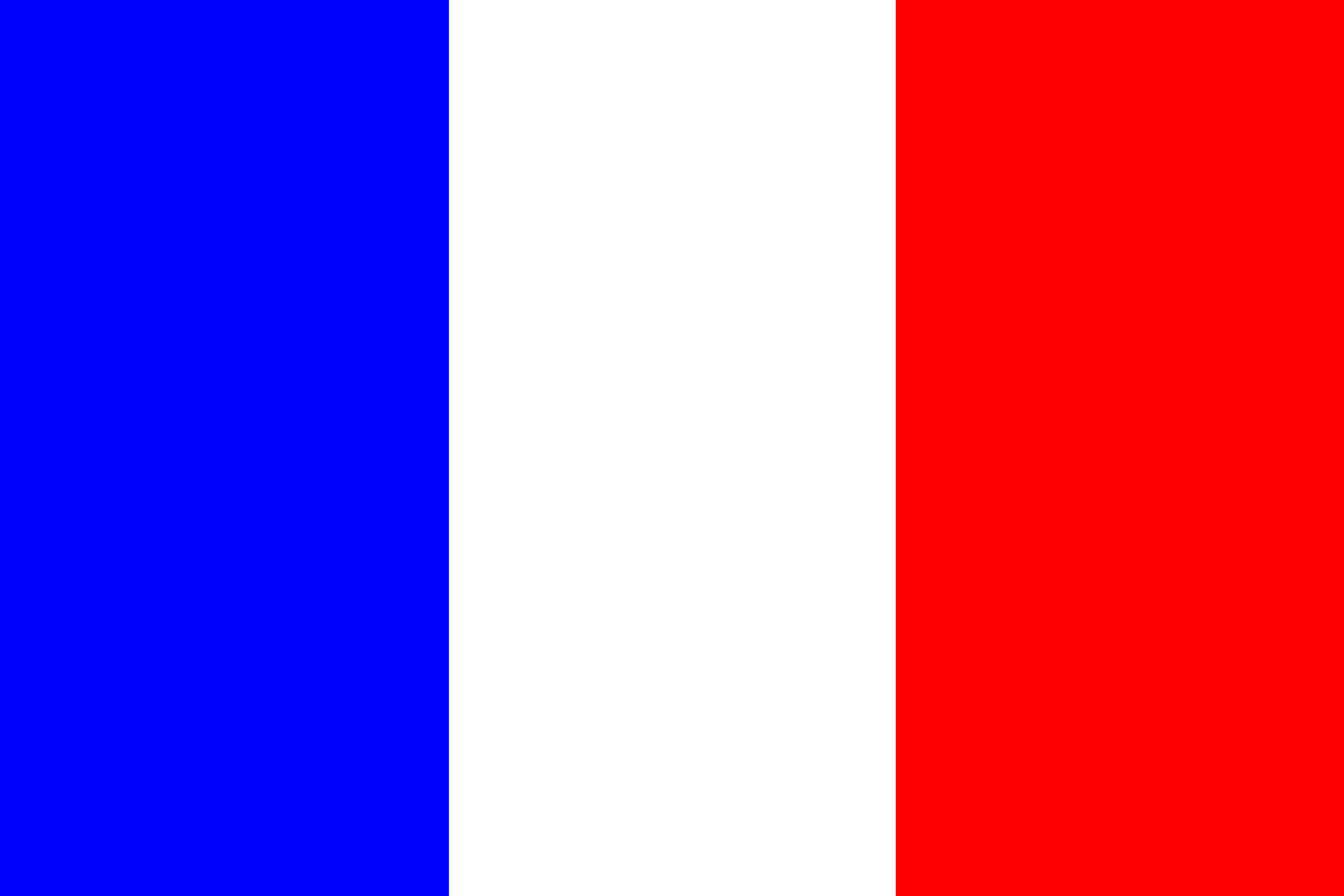 Medieval French Flag
