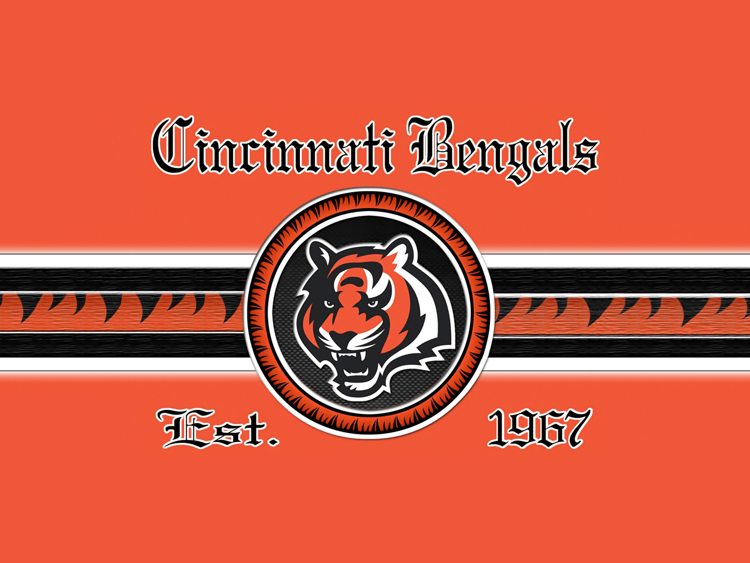 Download Cincinnati Bengals B Logo Wallpaper