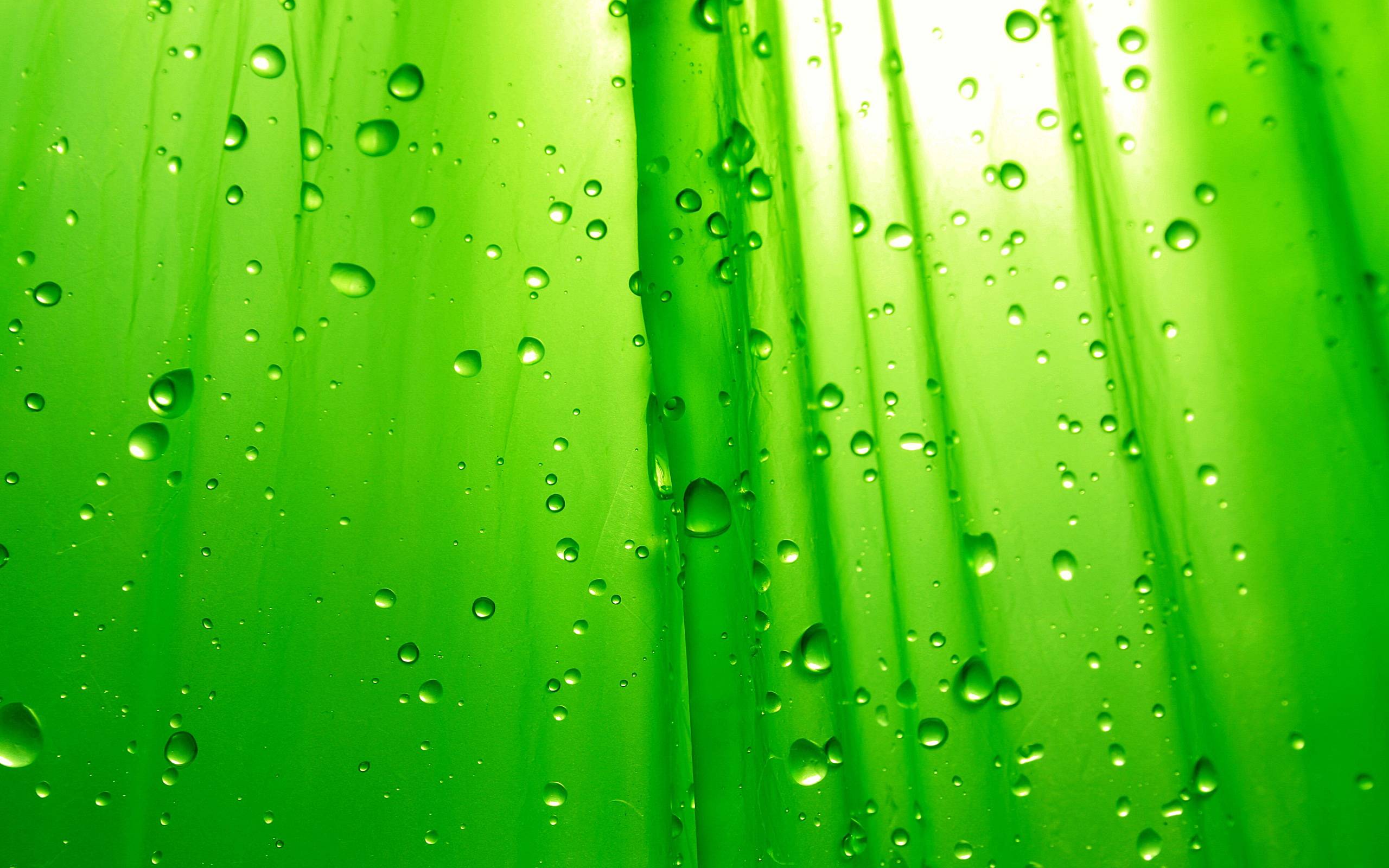 HD Lime Green Backgrounds: Đội ngũ thiết kế của chúng tôi đã tạo ra những bức tranh hình nền xanh Lime HD đẹp và dễ thương để bạn tùy chỉnh cho máy tính của mình. Sử dụng chúng để trang trí màn hình của bạn, mang lại cho không gian làm việc sự tươi mới và tinh thần mới để tràn đầy năng lượng cho bạn. Hãy khám phá ngay bây giờ!