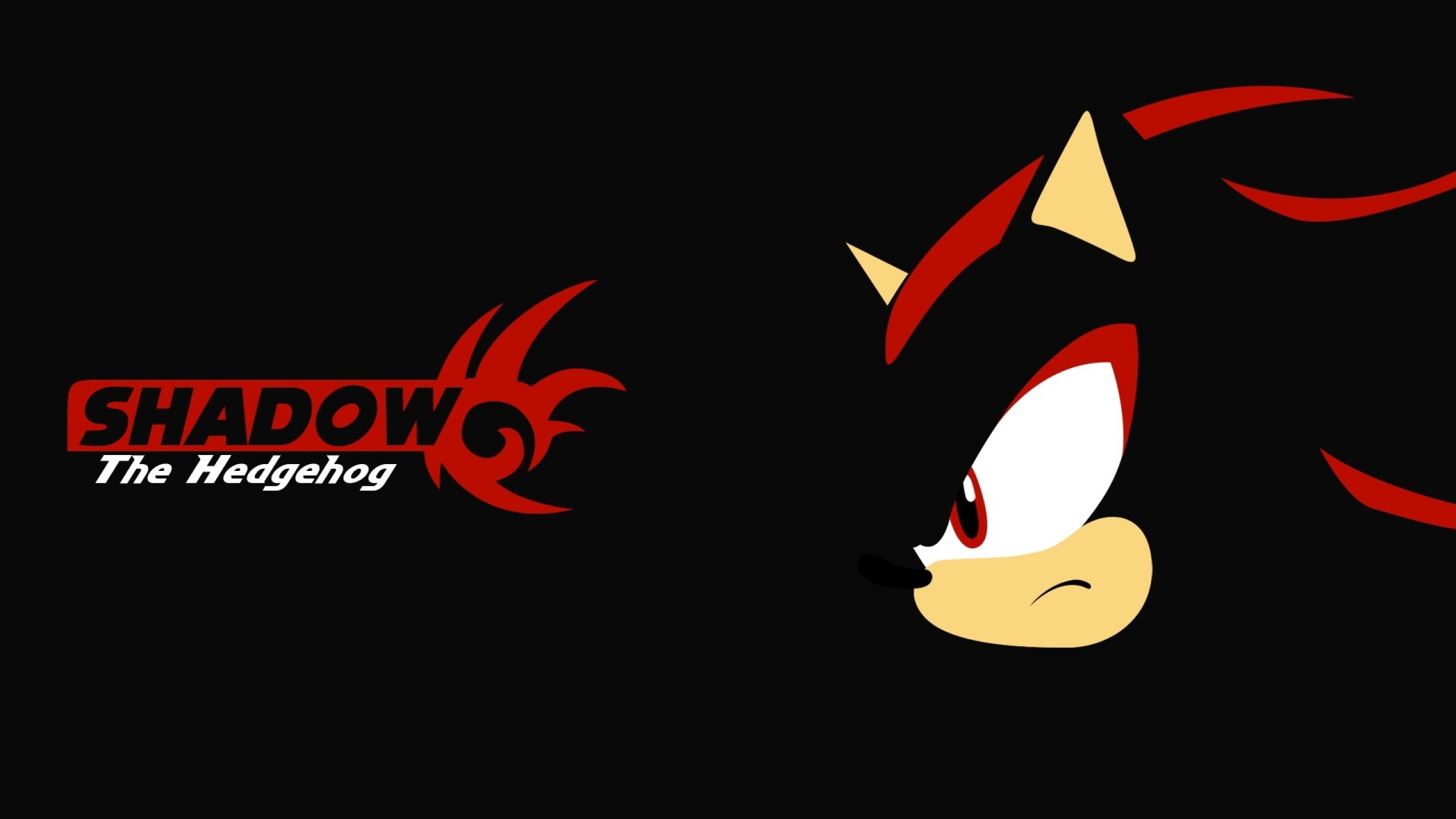 Sonic and Shadow neon Cool Sonic and Shadow HD wallpaper  Pxfuel