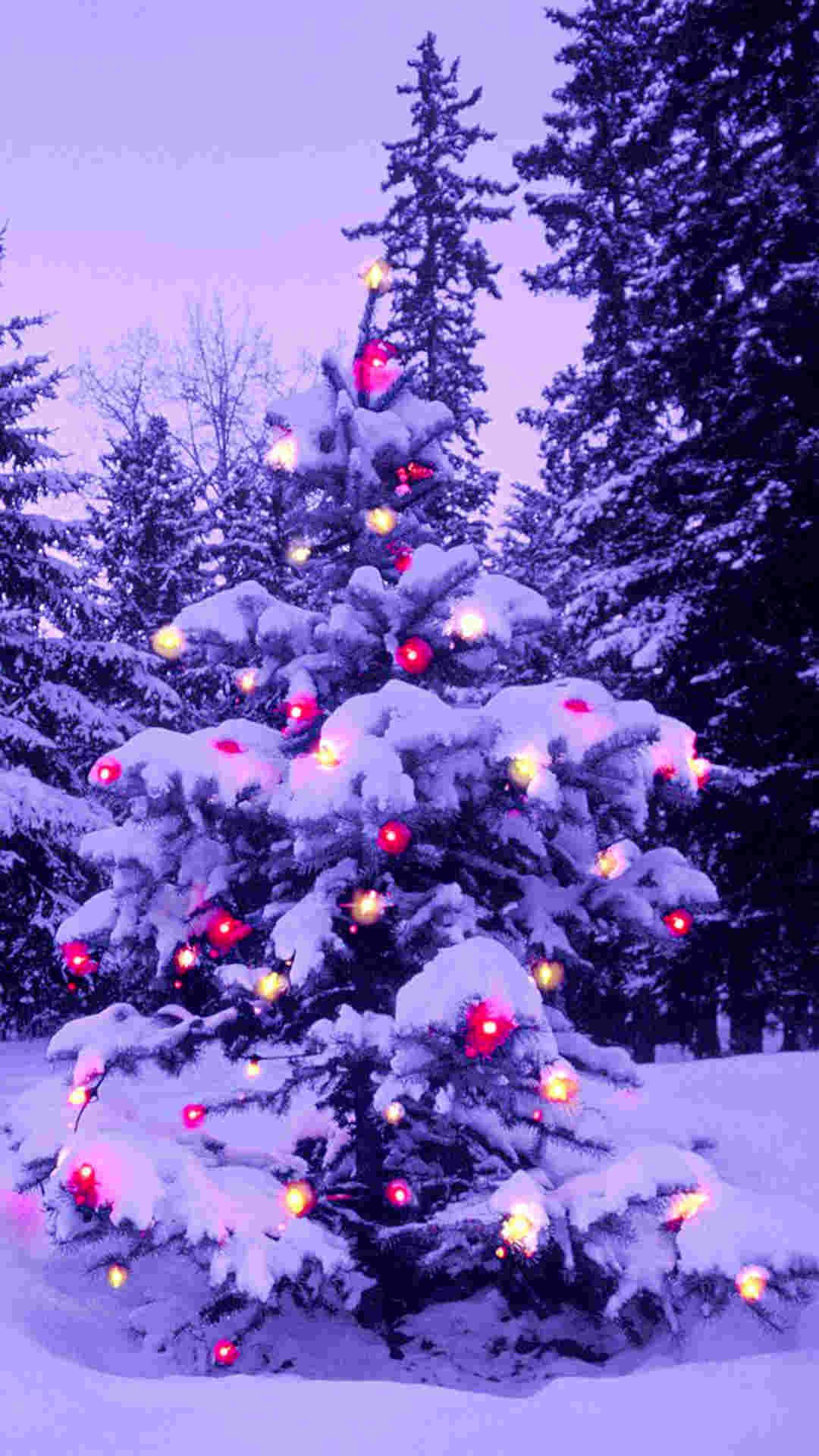 Mùa Giáng Sinh lại đến rồi! Hãy thu hút tinh thần lễ hội đến thật gần với những hình nền Giáng Sinh cho iPhone đầy lãng mạn và ánh sáng lung linh. Sự kết hợp hoàn hảo giữa hình ảnh ấm áp và màu sắc rực rỡ sẽ mang lại cho bạn cảm giác thật ấn tượng!