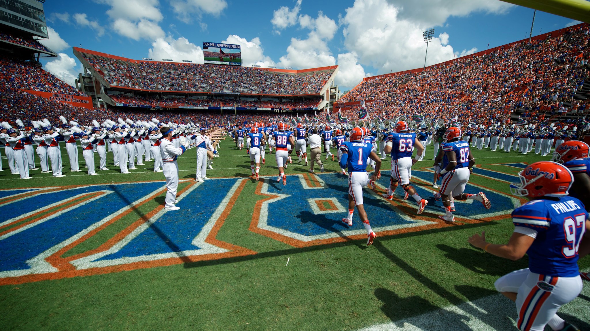 Gators 4K wallpapers for your desktop or mobile screen free and easy to  download