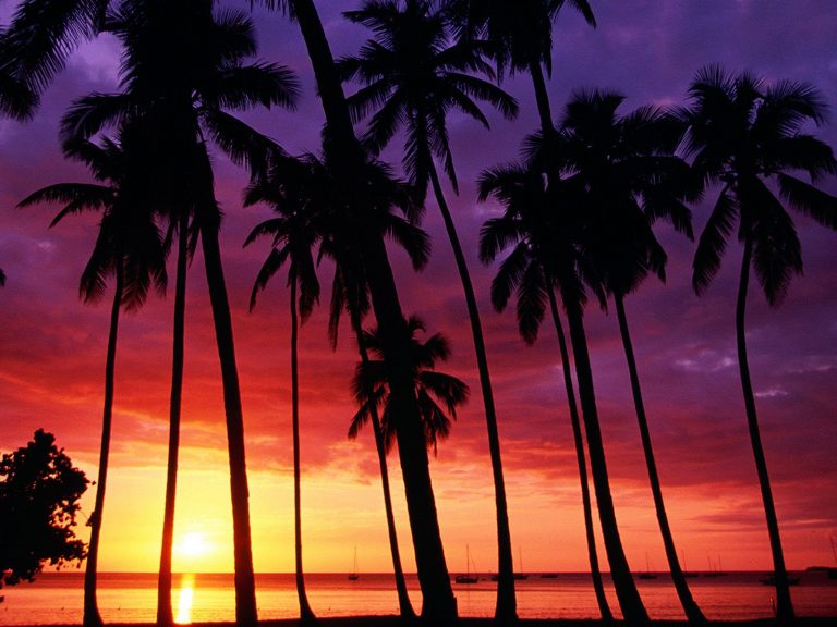 Free Download Sunset Beaches Backgrounds Pixelstalk Net