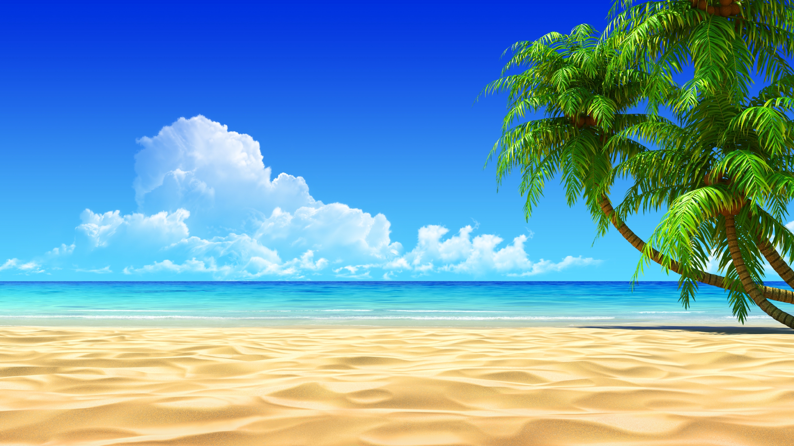 Background Full HD Images Free Download 