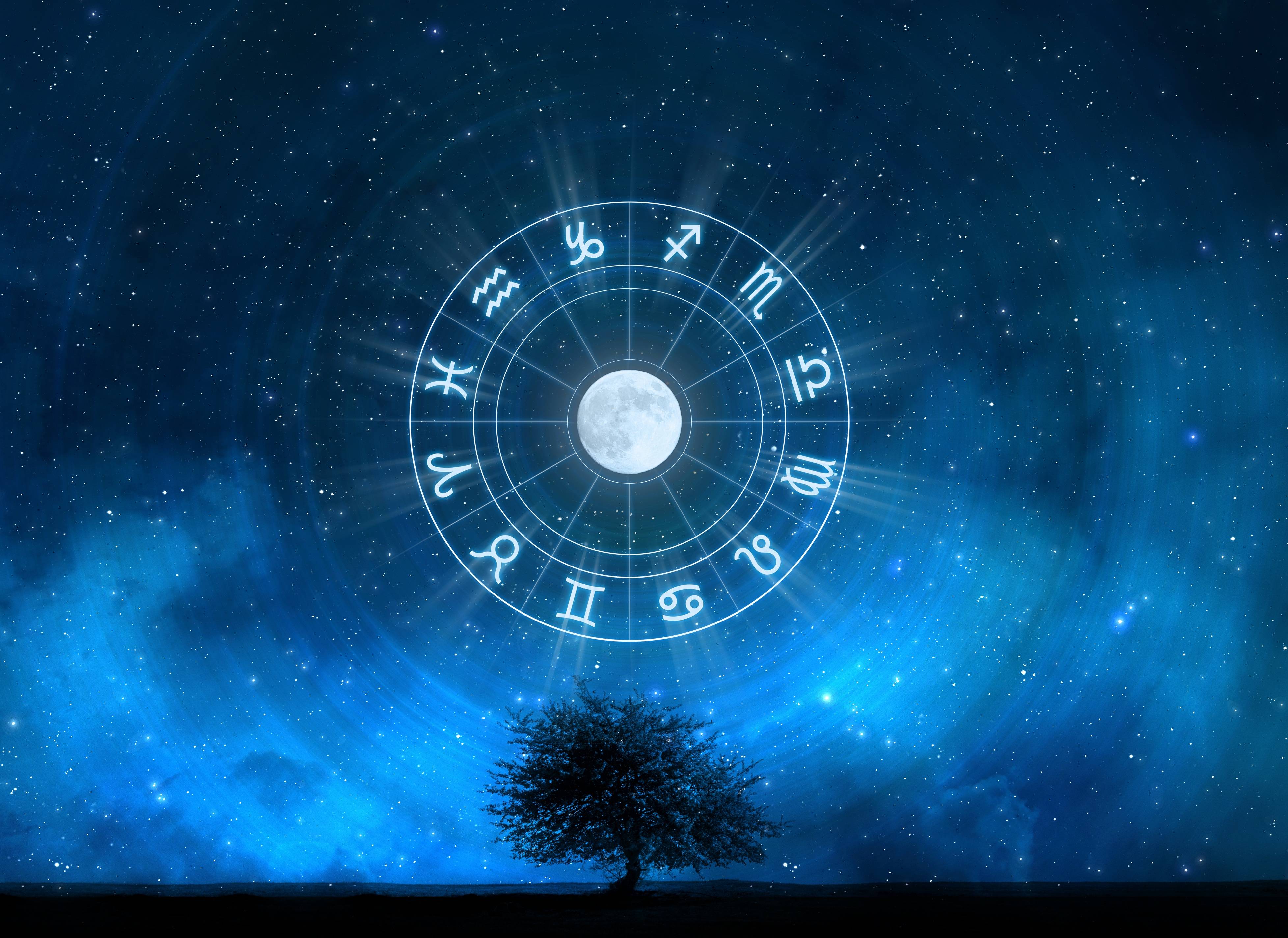 venus transits 12 house astrology