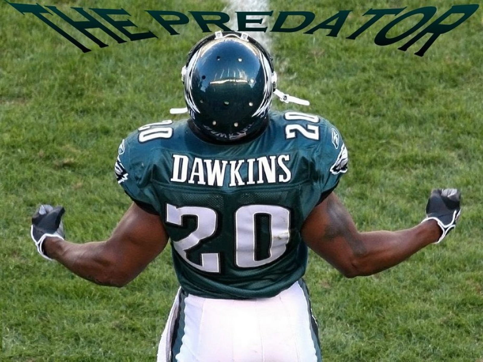Brian Dawkins Ultimate Career Highlights Weapon X  YouTube