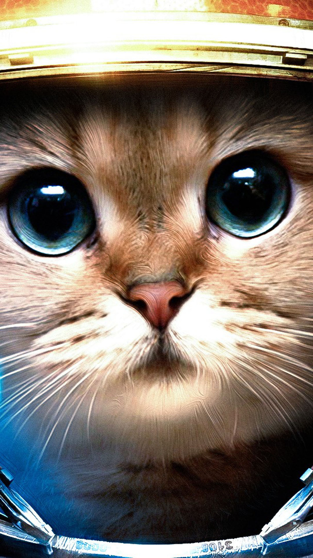 cat hd wallpapers for android