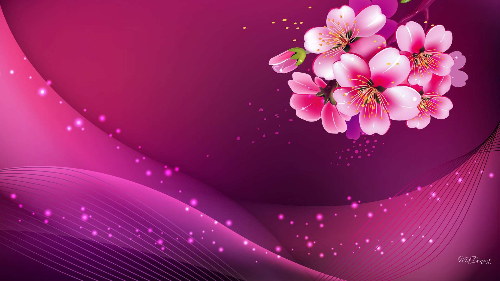 pink colour hd wallpapers