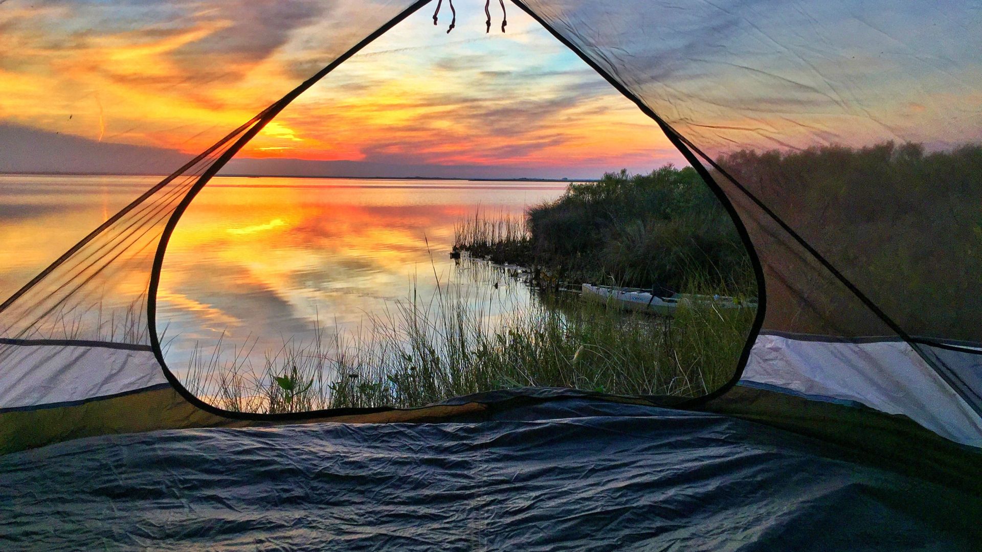 Summer Camping Pictures  Download Free Images on Unsplash