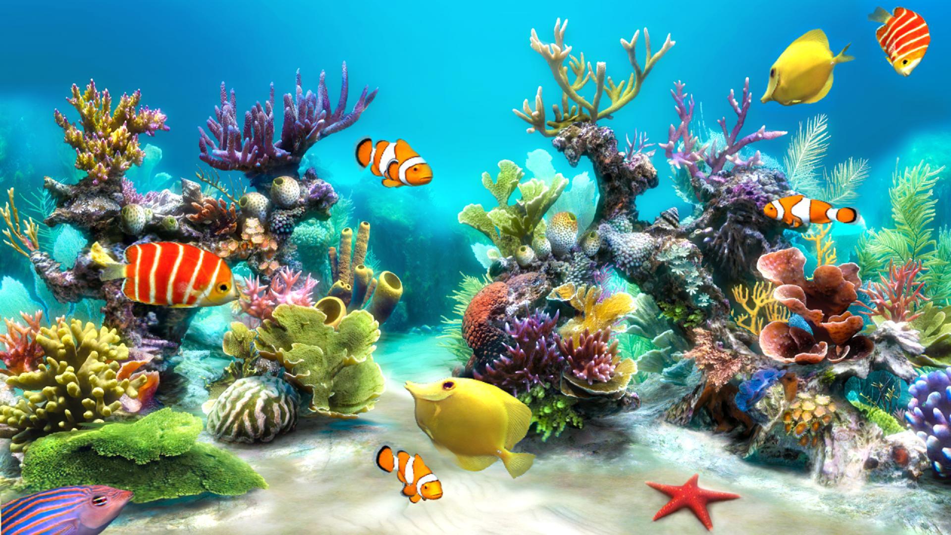 Fish Tank Backgrounds | PixelsTalk.Net