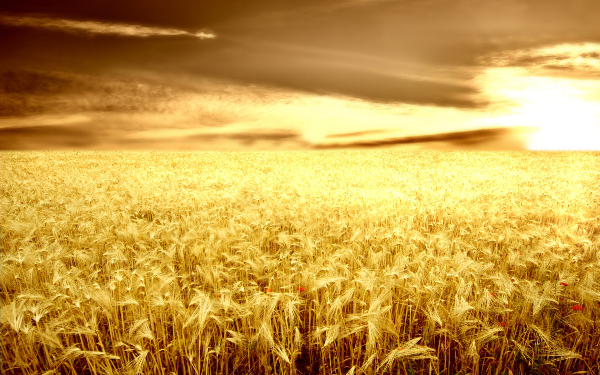 Farming Backgrounds Download Free