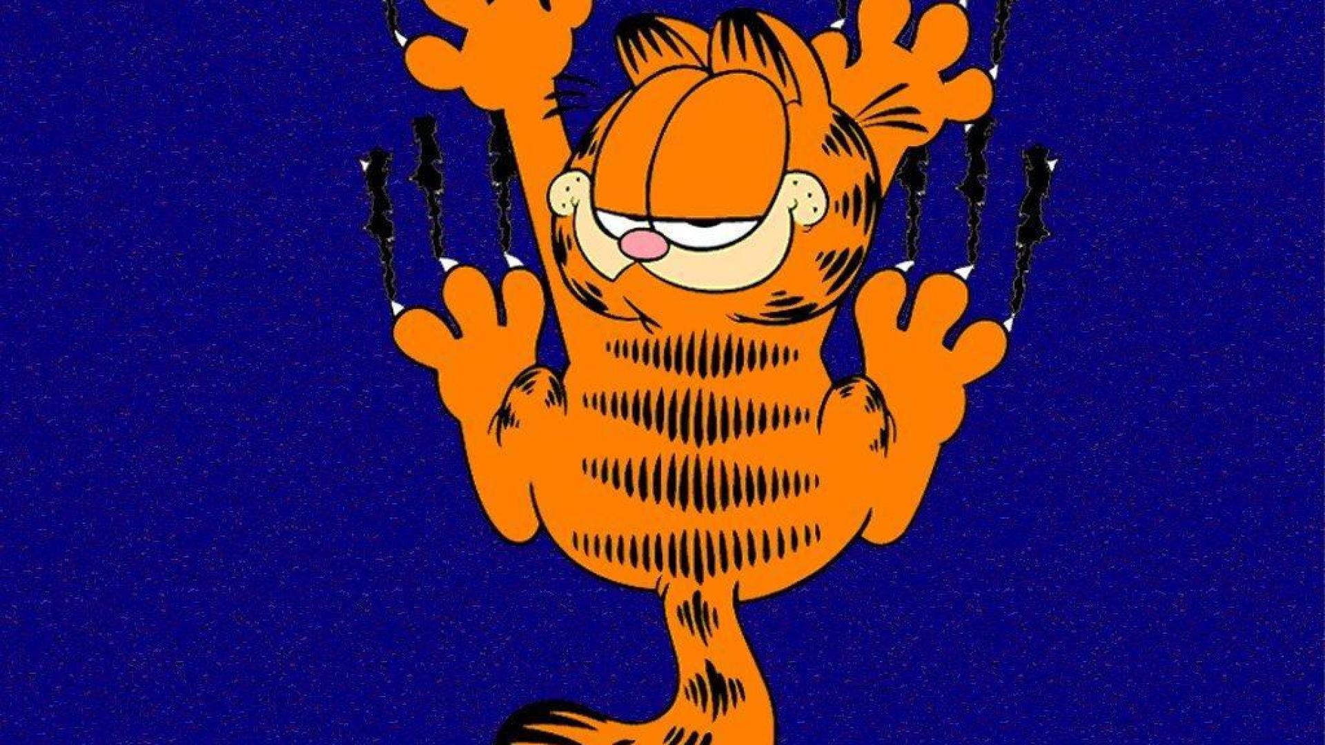 100+] Garfield Wallpapers | Wallpapers.com