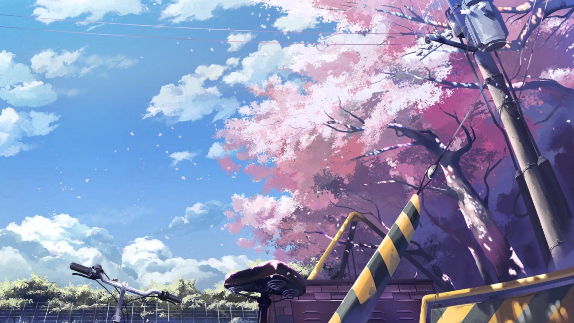 Download Free Anime Cherry Blossom Background | Pixelstalk.net