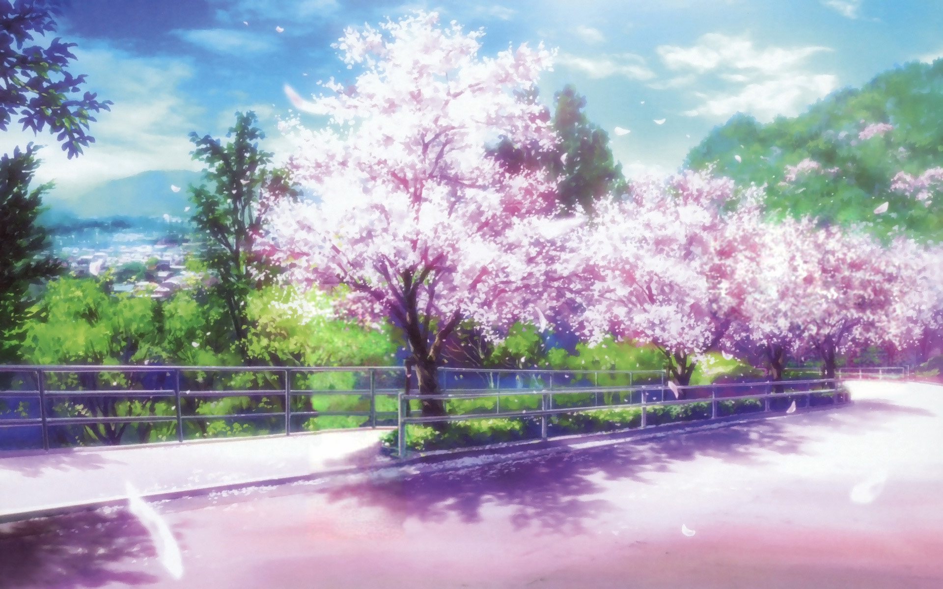 Anime Cherry Blossom GIFs  Tenor