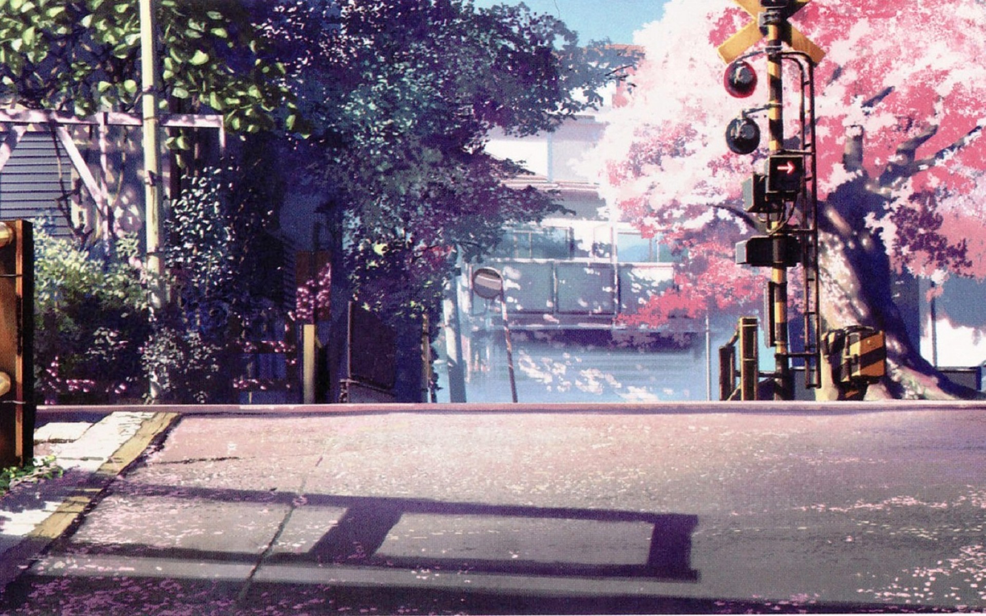 Anime Cherry Blossom Desktop Wallpaper | PixelsTalk.Net